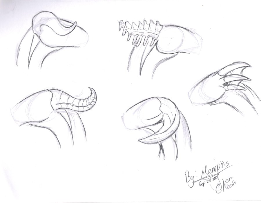 900x702 Horn Study (Sketch) By Memcabo - Horn Sketch
