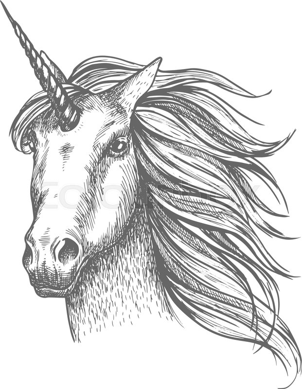 621x800 Unicorn Head Sketch. Mythical Horse, Heraldic Equine Head With - Horn Sketch