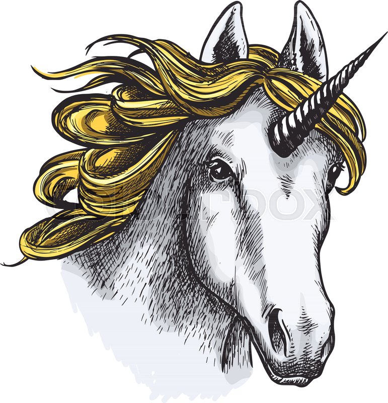 771x800 Unicorn Horse Sketch Of Magic Animal With Golden Mane And - Horn Sketch
