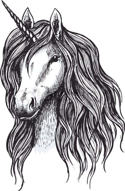 526x800 Unicorn Horse Sketch Of Magic Animal With Horn. Head Of Mythical - Horn Sketch