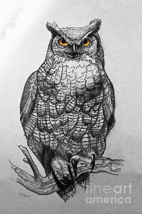463x700 Great Horned Owl Black And White Weekender Tote Bag For Sale By - Horned Owl Sketch