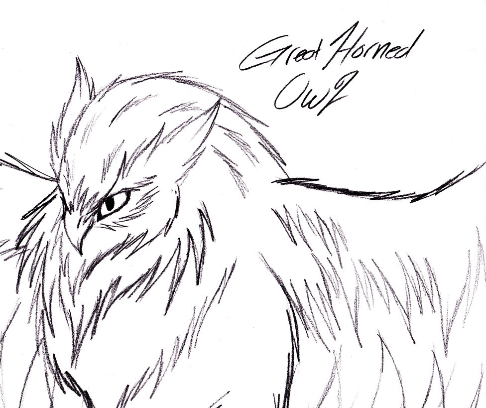 976x819 Great Horned Owl Drawing Great Horned Owl Sketchyamishadowzero On - Horned Owl Sketch