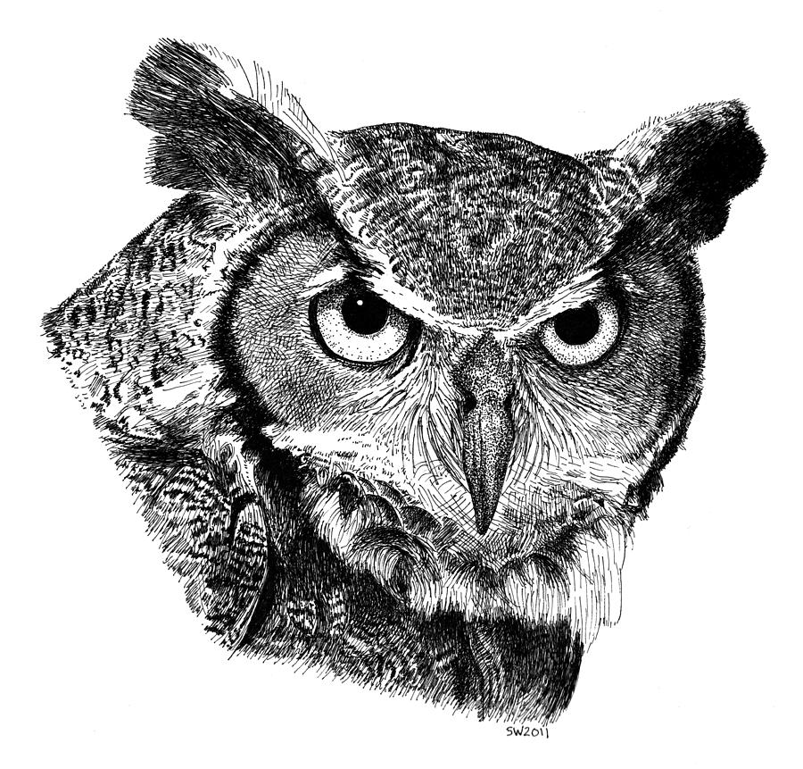 900x861 Great Horned Owl Drawing By Scott Woyak - Horned Owl Sketch