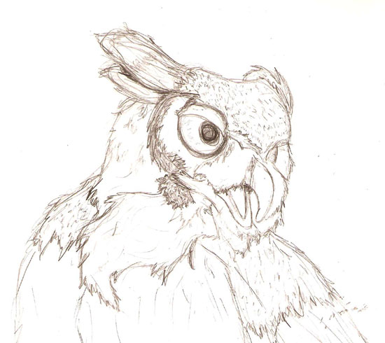 550x490 Great Horned Owl Sketch... By Mazz - Horned Owl Sketch