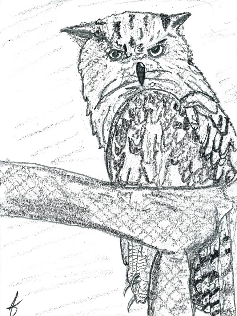 770x1027 Horned Owl 1 Drawing By Jd Duran Saatchi Art - Horned Owl Sketch