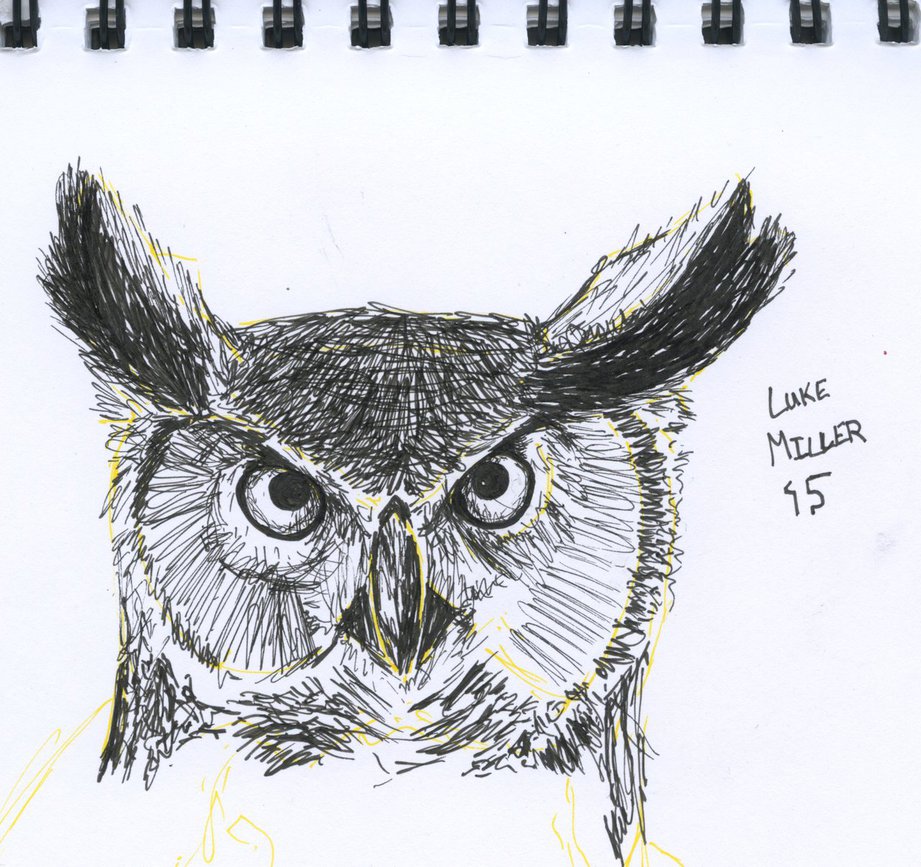 921x867 Horned Owl Sketch By Netblitzer - Horned Owl Sketch