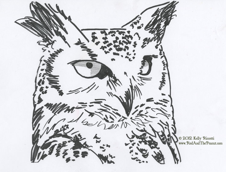 750x571 Red And The Peanut Painting A Great Horned Owl...and - Horned Owl Sketch