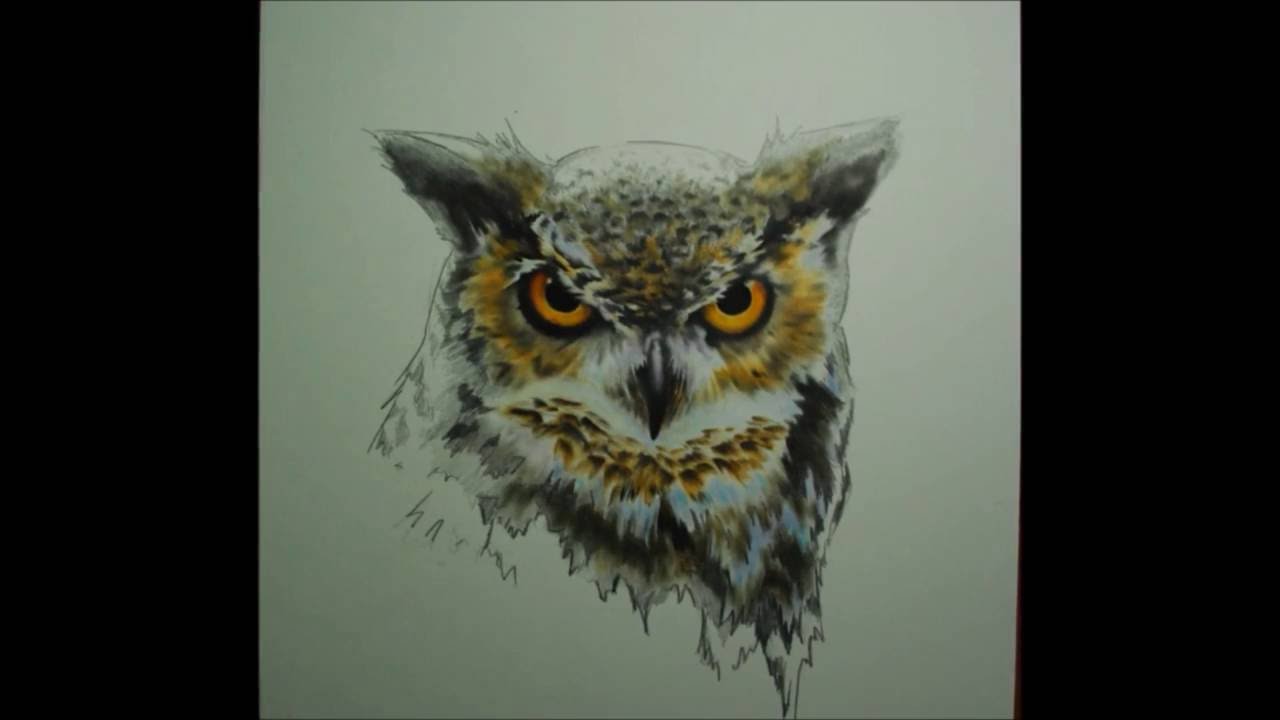 1280x720 Time Lapse - Horned Owl Sketch