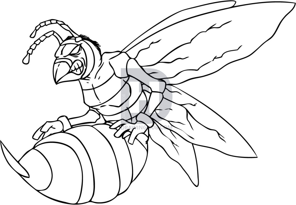 1037x720 How To Draw A Hornet, Step By Step, Drawing Guide, By Darkonator - Hornet Sketch