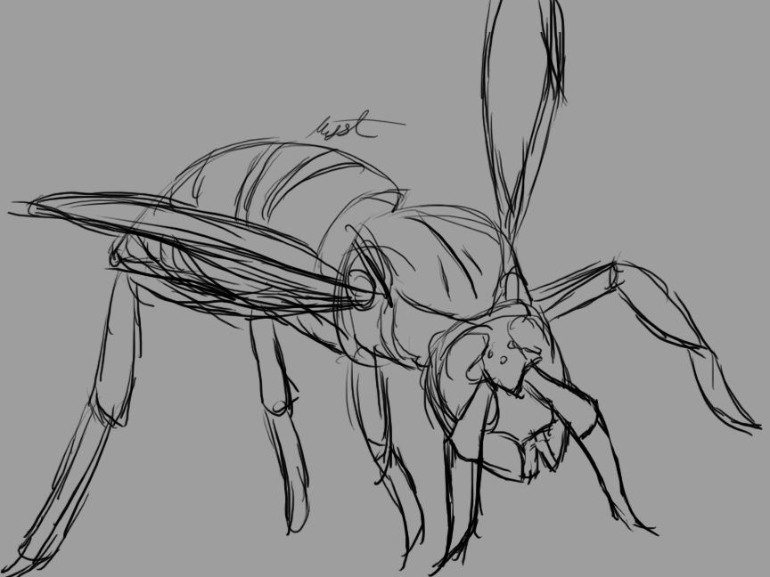 864x648 Practice Hornet Sketch By Missermyst - Hornet Sketch