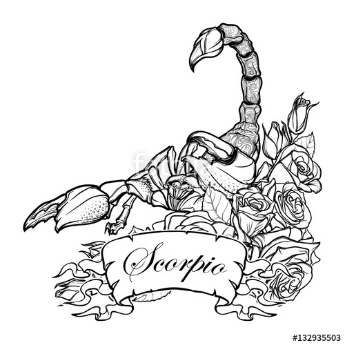 500x500 Zodiac Sign Scorpio. Detailed Realistic Scorpio In A Decorative - Horoscope Sketch