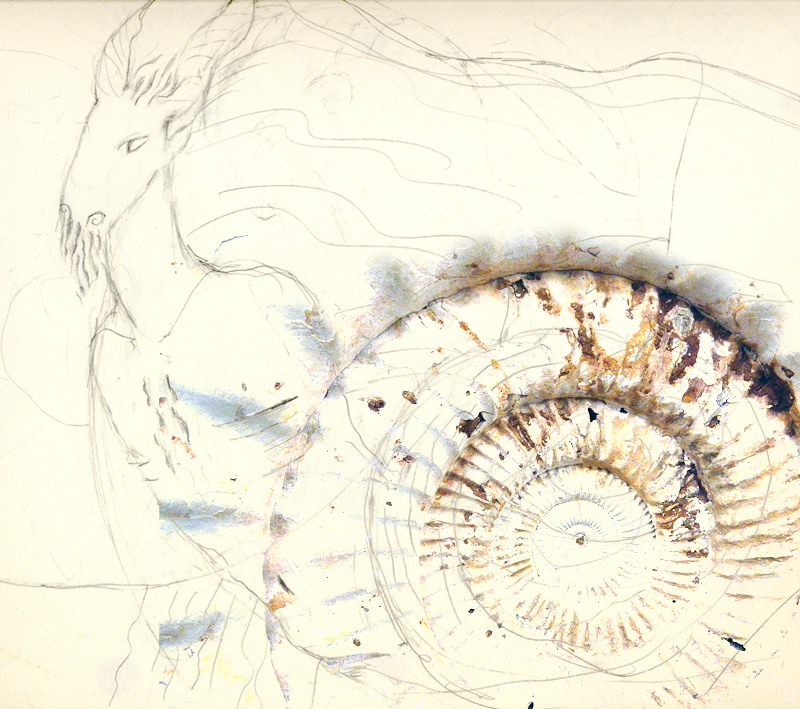 800x709 Pencil Sketch Of Capricorn, The Goat Fish Of The - Horoscope Sketch