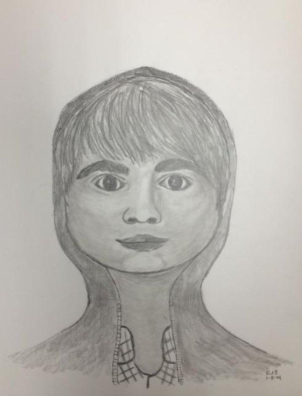 600x785 Horrible Police Sketches - Horrible Sketches