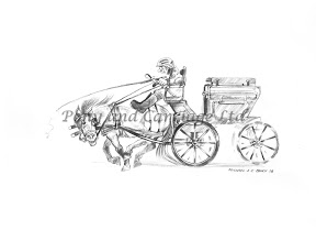 288x209 Carriage Driving Dvd Cartoon Horse Drawn Sketches Drawings - Horse And Carriage Sketch