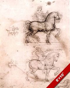 240x300 Leonardo Da Vinci Horse Amp Rider Statue Monument Study Sketch - Horse And Rider Sketch