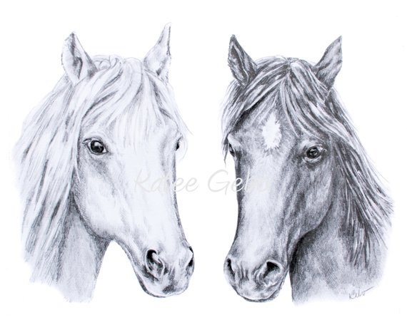 570x449 Horse Drawing Wall Art Two Horses Pencil Drawing Horse Etsy - Horse Art Sketch