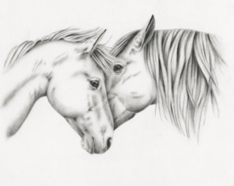 340x270 Horse Drawing Etsy - Horse Art Sketch