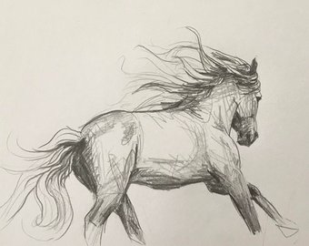 340x270 Horse Sketch Etsy - Horse Art Sketch