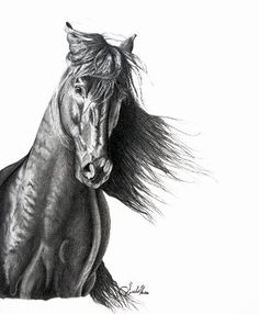 236x286 448 Best Horse Drawings Images In 2018 Drawings Of - Horse Art Sketch