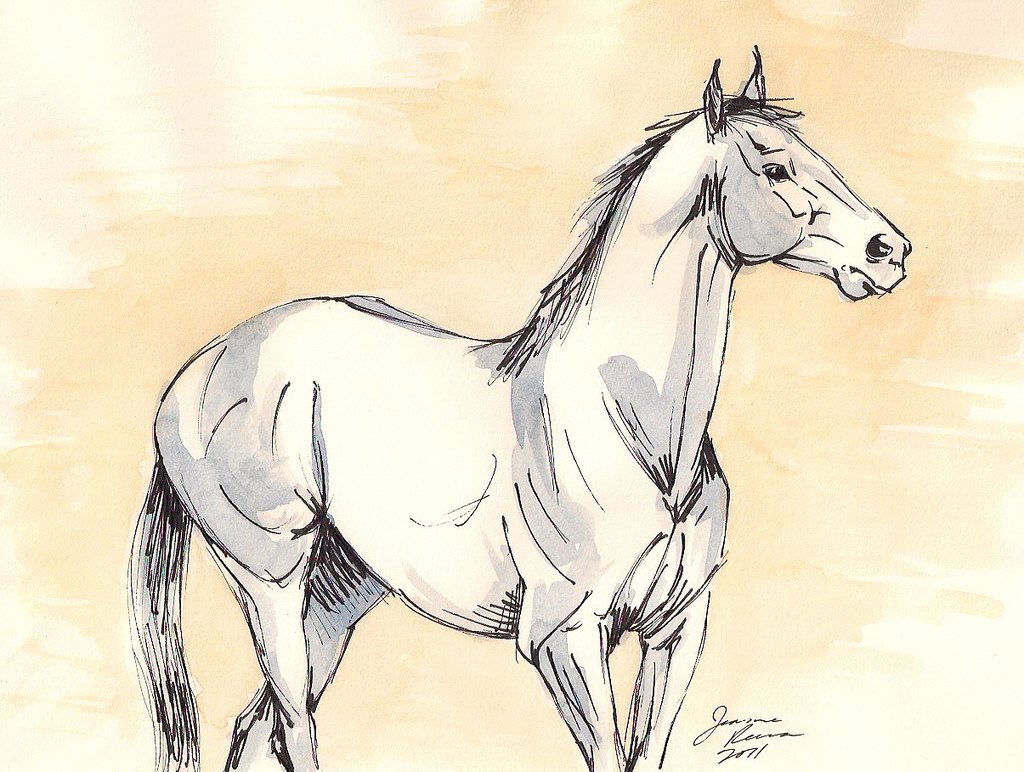 1024x772 Blue Horse Art Original Ink And Watercolor Sketch - Horse Art Sketch