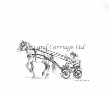 350x300 Horse Carriage Size How To Buy The Correct Sized Horse Carriage - Horse Cart Sketch