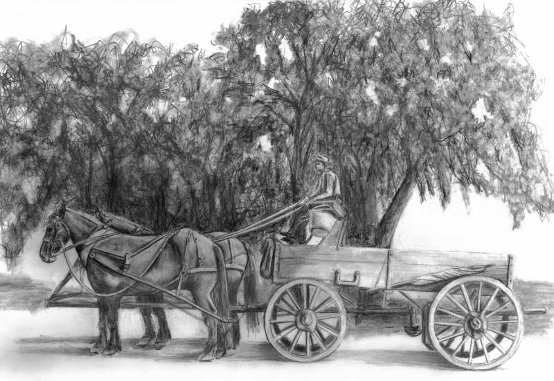 800x551 Horse And Wagon - Horse Cart Sketch