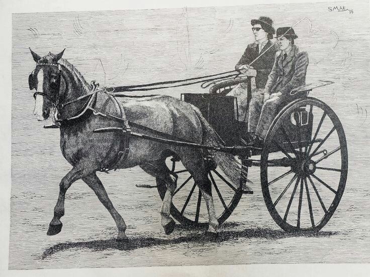 736x552 Horse Drawing Horse Cart Drawing Pen Sketches Pen Drawing - Horse Cart Sketch