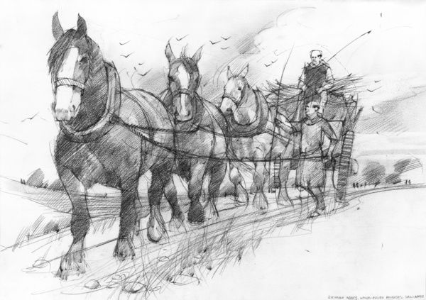 600x423 Horses Pulling Cart Ic086 019 - Horse Cart Sketch