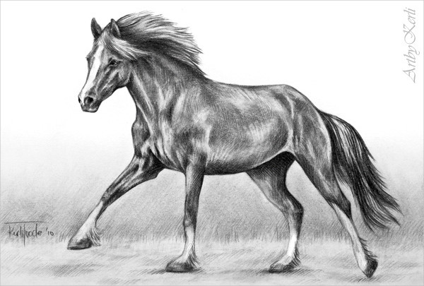 600x405 Horse Sketches Free Amp Premium Templates - Horse Cart Sketch