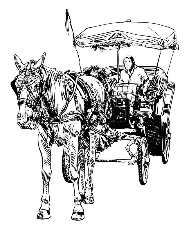 651x800 Black And White Sketch Drawing Of Horse Driver, Vector - Horse Cart Sketch