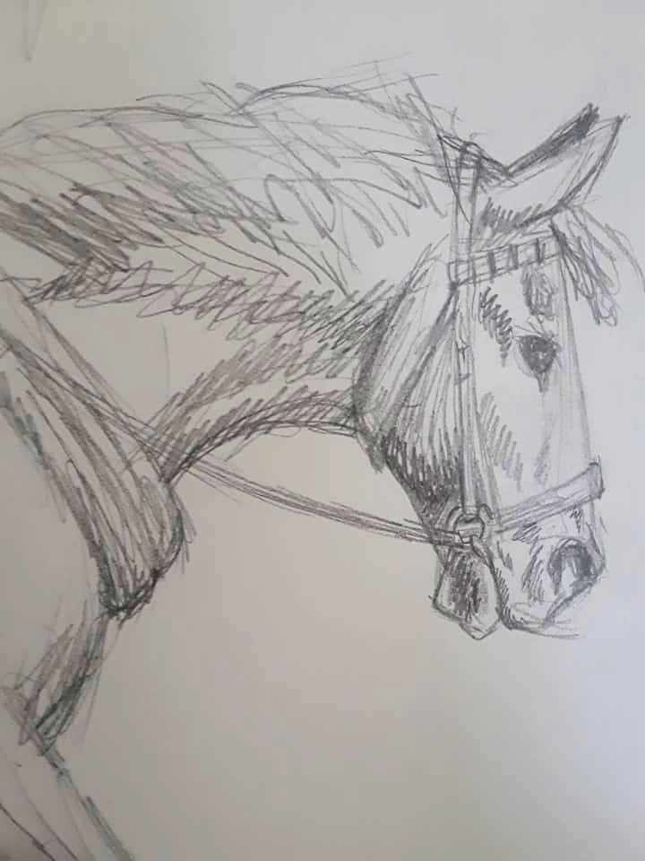720x960 Cart Horse Sketch By Galloping Mad - Horse Cart Sketch