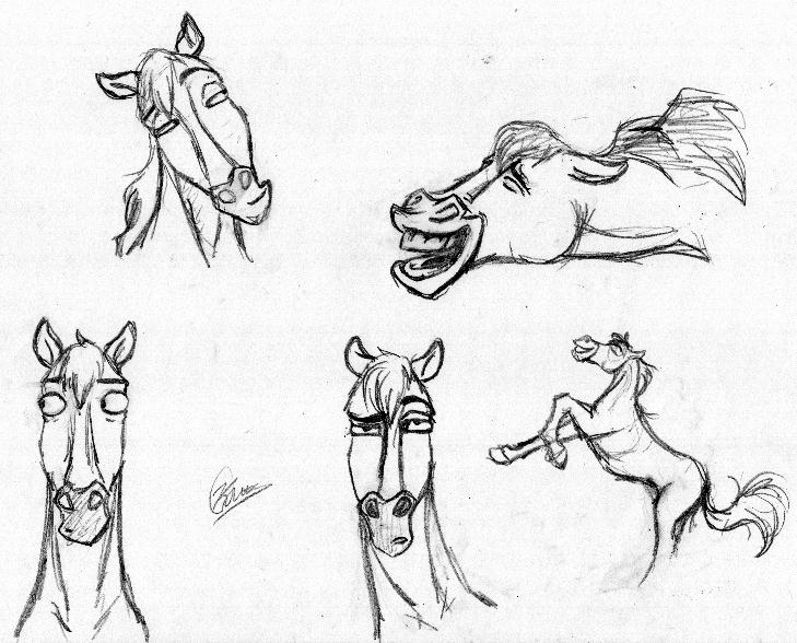 729x588 Cartoon Horse Heads By Kezzamoss - Horse Cartoon Sketch