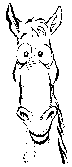 233x535 Funny Face For The Love Of Horses Drawings, Horse - Horse Cartoon Sketch