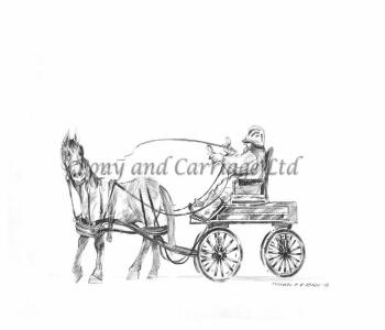 350x300 Horse Carriage Size How To Buy The Correct Sized Horse Carriage - Horse Drawn Carriage Sketch