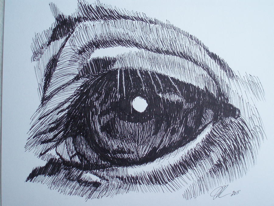 900x675 Horse Eye Drawing By Michael Runner - Horse Eye Sketch