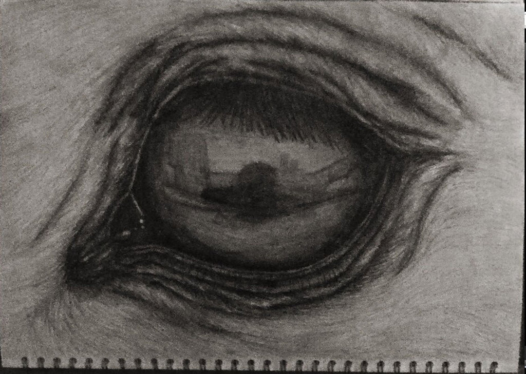 1024x729 Horse Eye Sketch By Jazzi Kit - Horse Eye Sketch