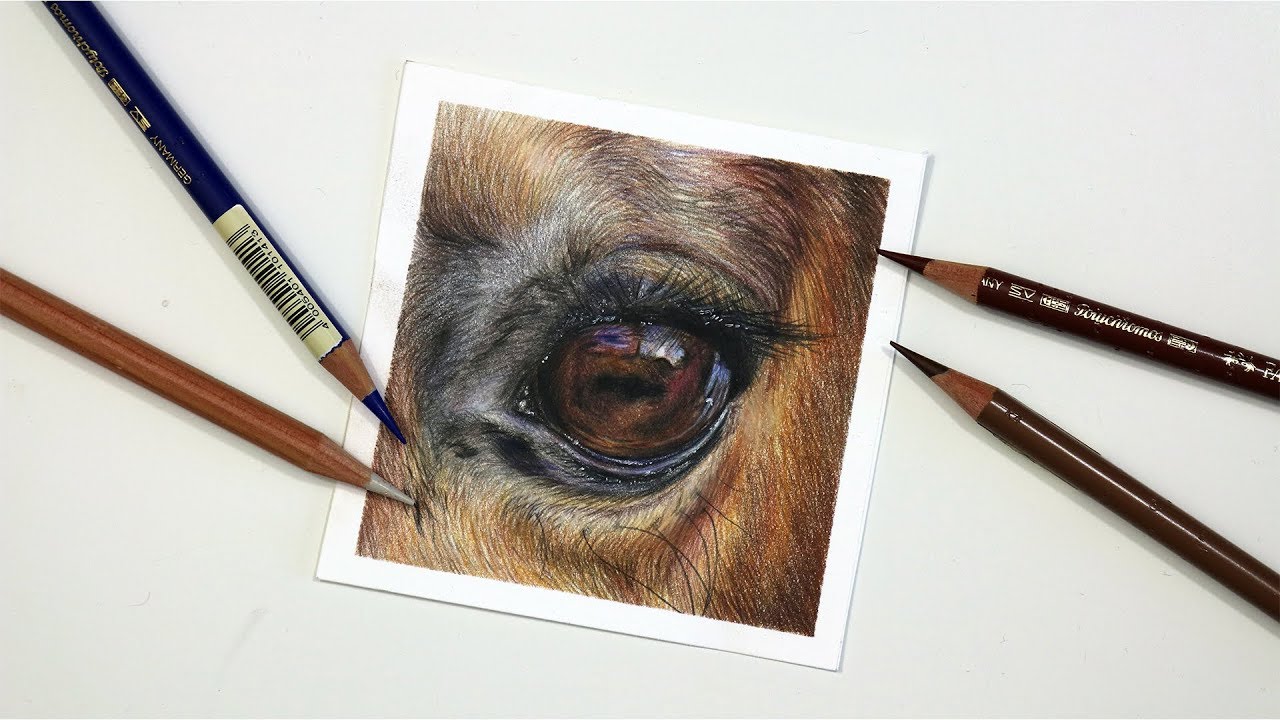 1280x720 How To Draw A Horse Eye With Coloured Pencil Drawing Tutorial - Horse Eye Sketch