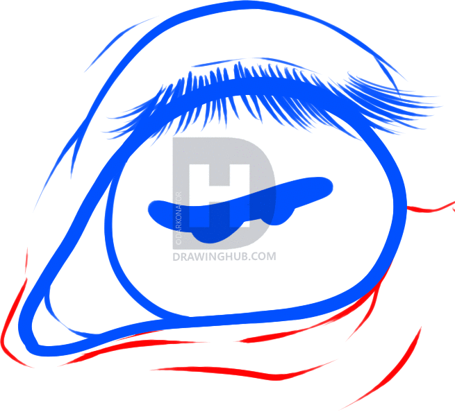 655x594 How To Draw Horse Eyes, Step By Step, Drawing Guide, By Darkonator - Horse Eye Sketch