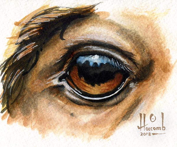 600x500 Watercolor Horse Eye By Ryngsraccoon - Horse Eye Sketch