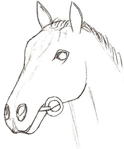 250x301 How To Draw A Horse Head - Horse Face Sketch