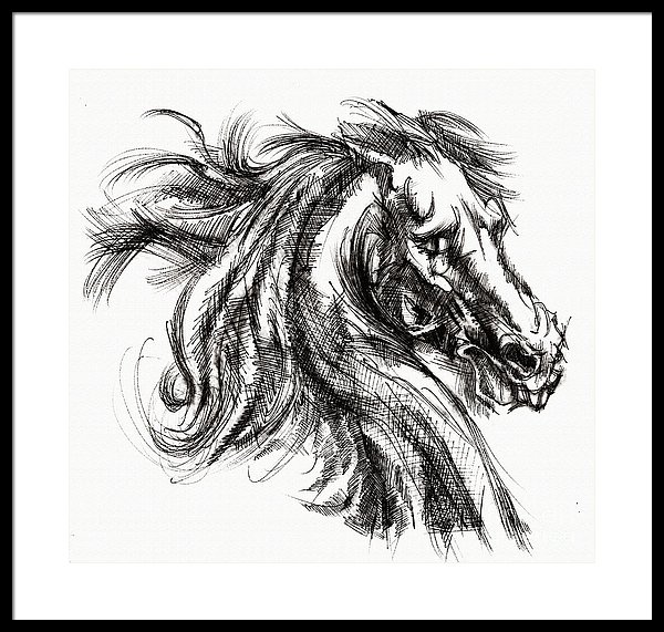 600x571 Horse Face Ink Sketch Drawing - Horse Face Sketch