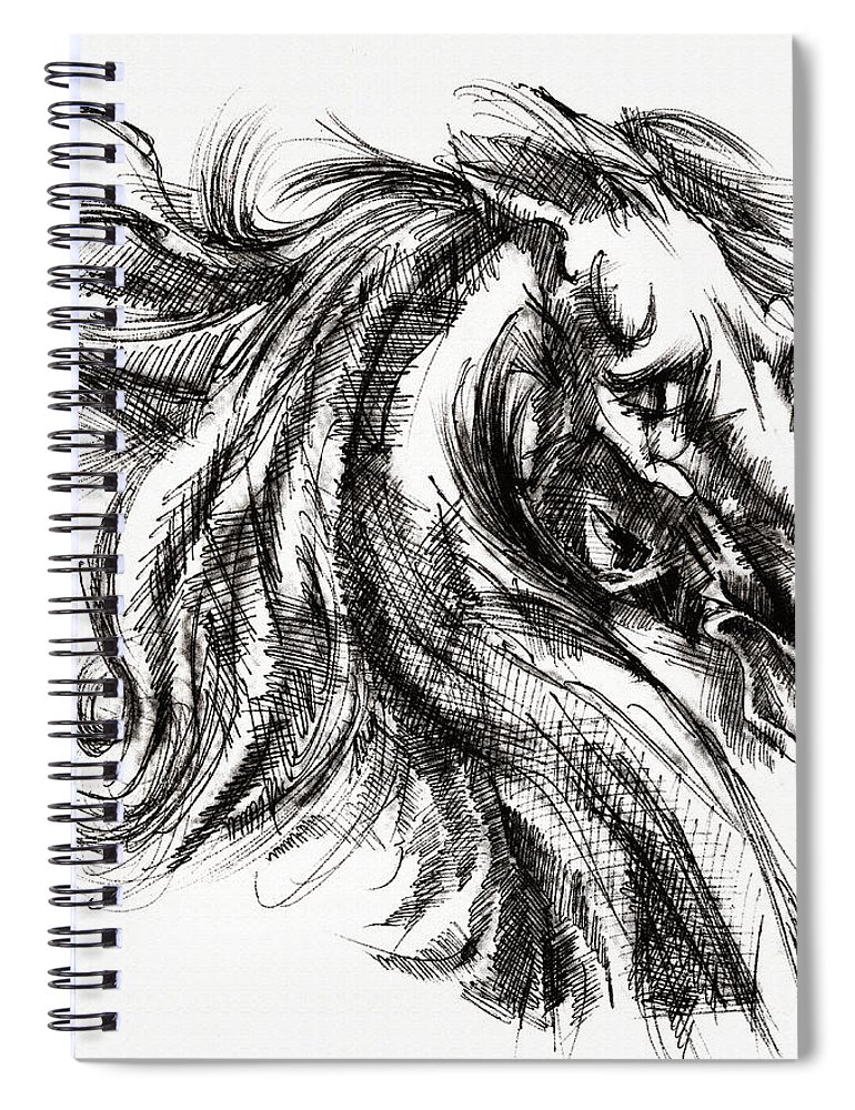 770x1000 Horse Face Ink Sketch Drawing - Horse Face Sketch