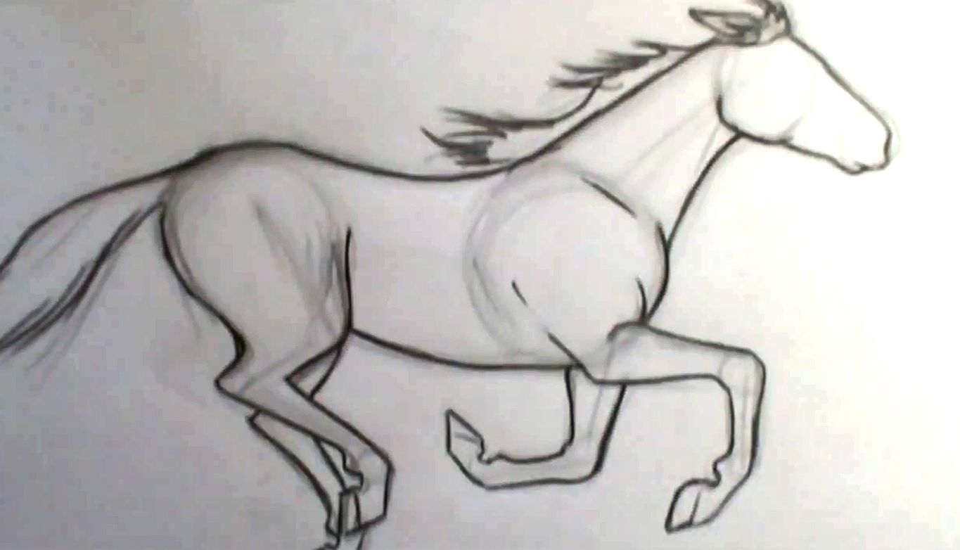 1365x782 Galloping Horse Sketch - Horse Galloping Sketch