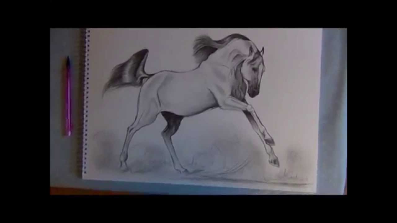 1280x720 How To Draw A Galloping Bay Horse (16th January 2012) - Horse Galloping Sketch