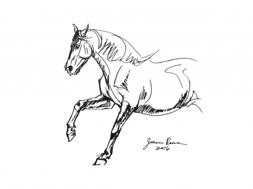 500x375 Ink Gallop Sketch Equine Art By Jeanne Rewa - Horse Galloping Sketch