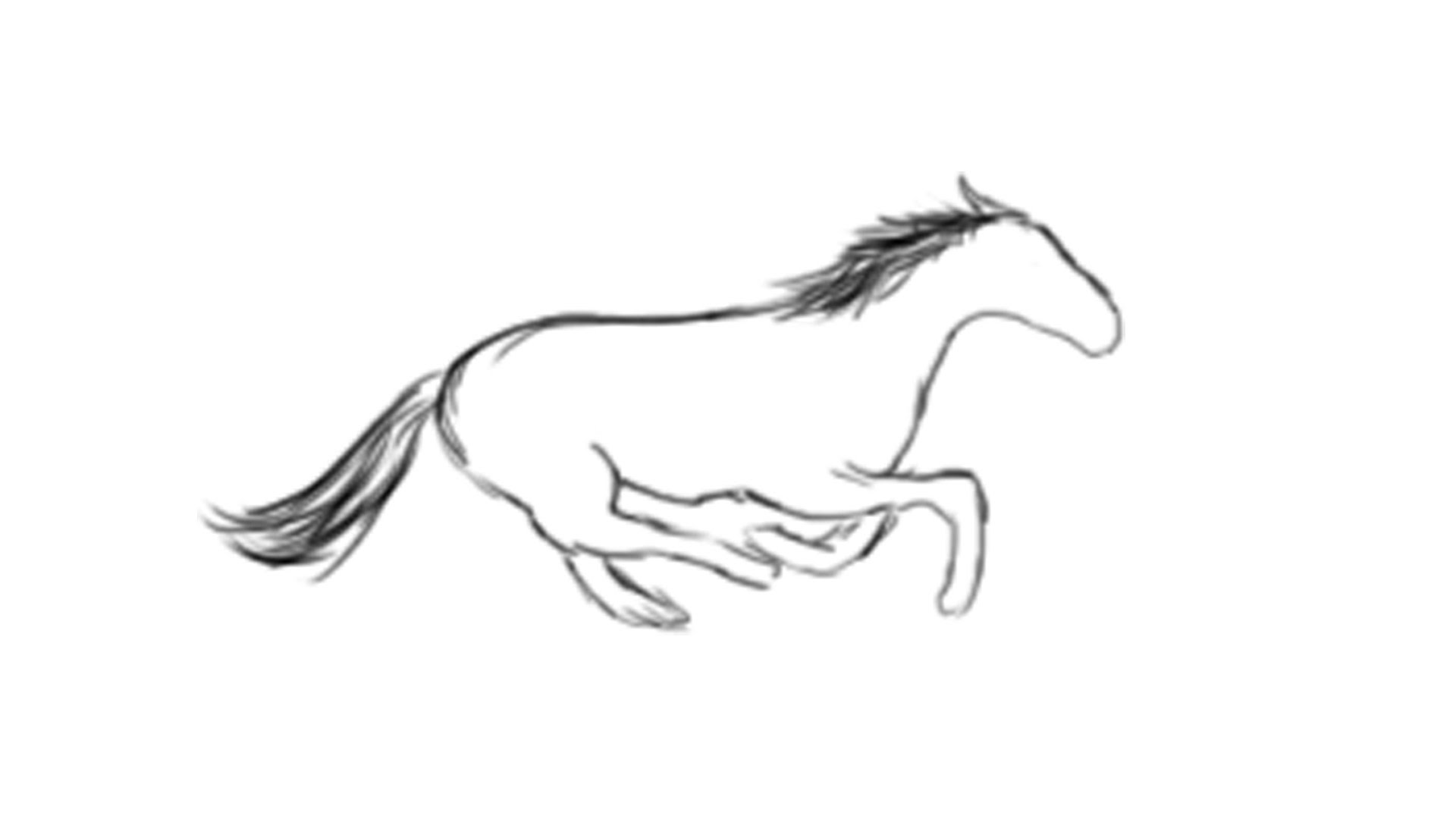 1920x1080 Rough Sketch Horse Galloping Test Animation - Horse Galloping Sketch