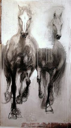 236x426 Galloping Horse Rough Sketches - Horse Galloping Sketch