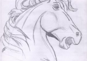 300x210 Horse Head Sketch Images - Horse Head Sketch