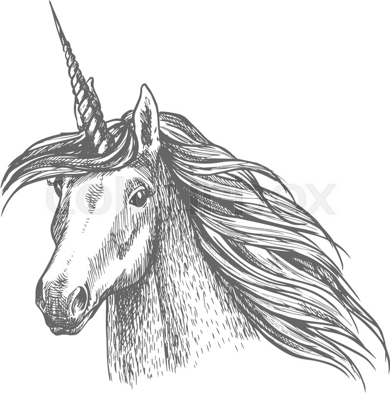 795x800 Unicorn Horse Head Sketch. Magic Horse With Twisted Horn - Horse Head Sketch