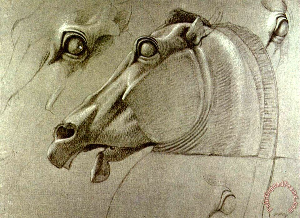 960x699 Benjamin Haydon Horse Head Sketch Painting - Horse Head Sketch